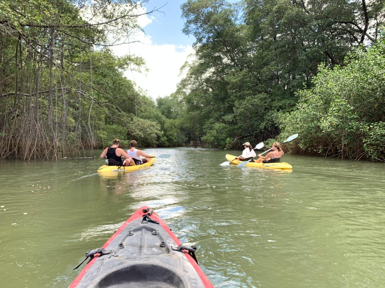 Sup and Kayak 1